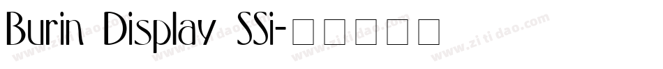 Burin Display SSi字体转换